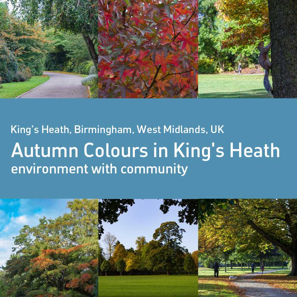 Autumn+colours+in+King%60s+Heath+-+beautiful!